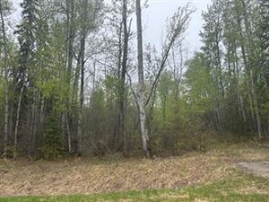 GotopLevel Property Photo