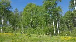 GotopLevel Property Photo