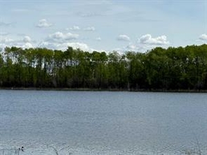 GotopLevel Property Photo