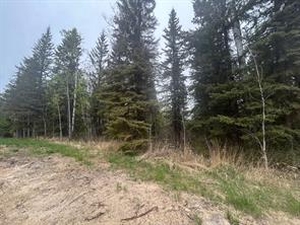 GotopLevel Property Photo