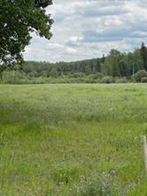 GotopLevel Property Photo