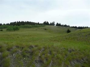 GotopLevel Property Photo