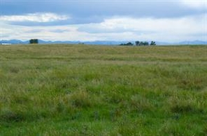GotopLevel Property Photo