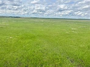 GotopLevel Property Photo