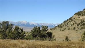 GotopLevel Property Photo