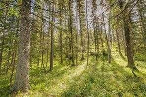 GotopLevel Property Photo