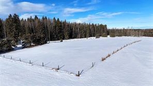 GotopLevel Property Photo