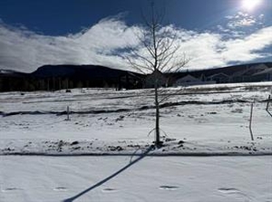 GotopLevel Property Photo