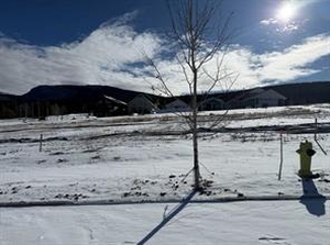 GotopLevel Property Photo