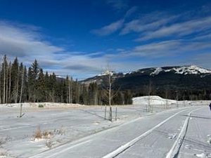 GotopLevel Property Photo