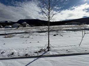 GotopLevel Property Photo