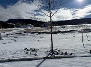 GotopLevel Property Photo