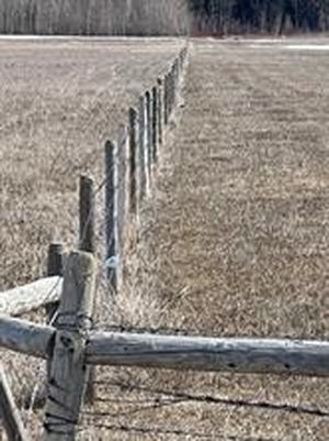 GotopLevel Property Photo