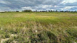GotopLevel Property Photo