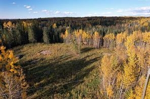 GotopLevel Property Photo